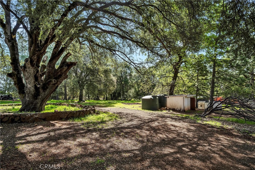 13988 Noble Ranch Road Lower Lake, CA 95457 - Photo 29 of 36 a view of a backyard with large trees