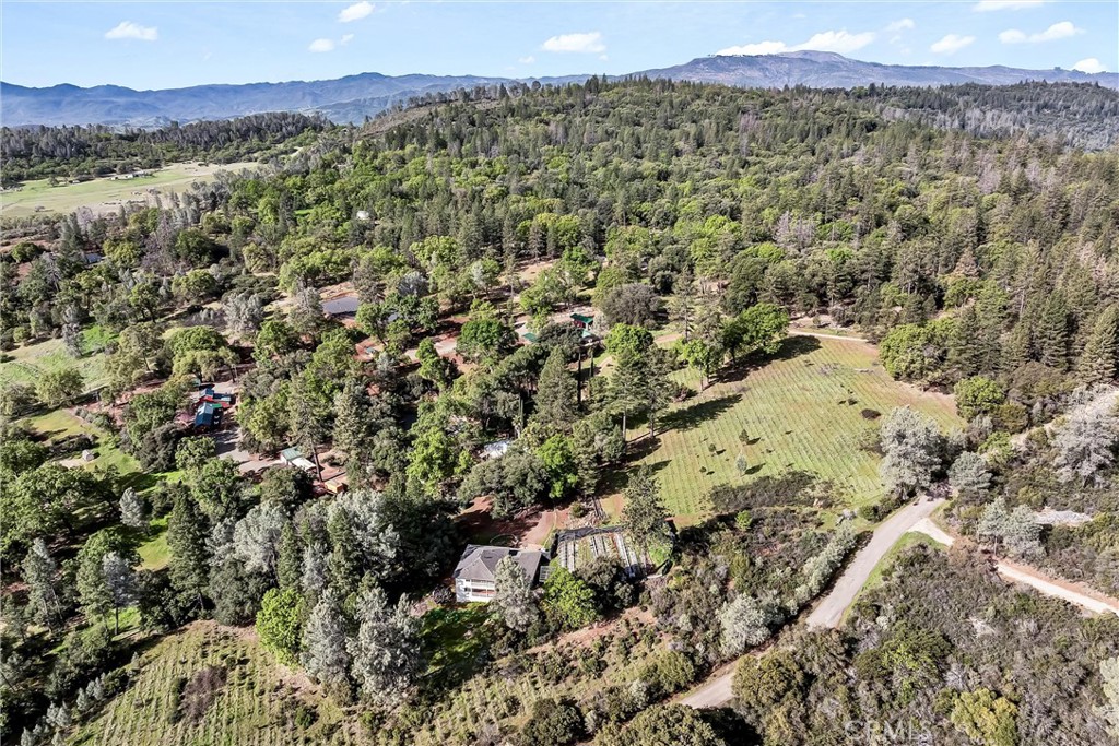 13988 Noble Ranch Road Lower Lake, CA 95457 - Photo 35 of 36 a view of a field with a mountain in the background