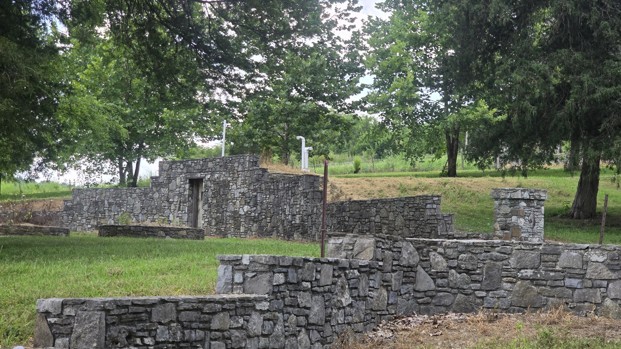 Gallery Image 7