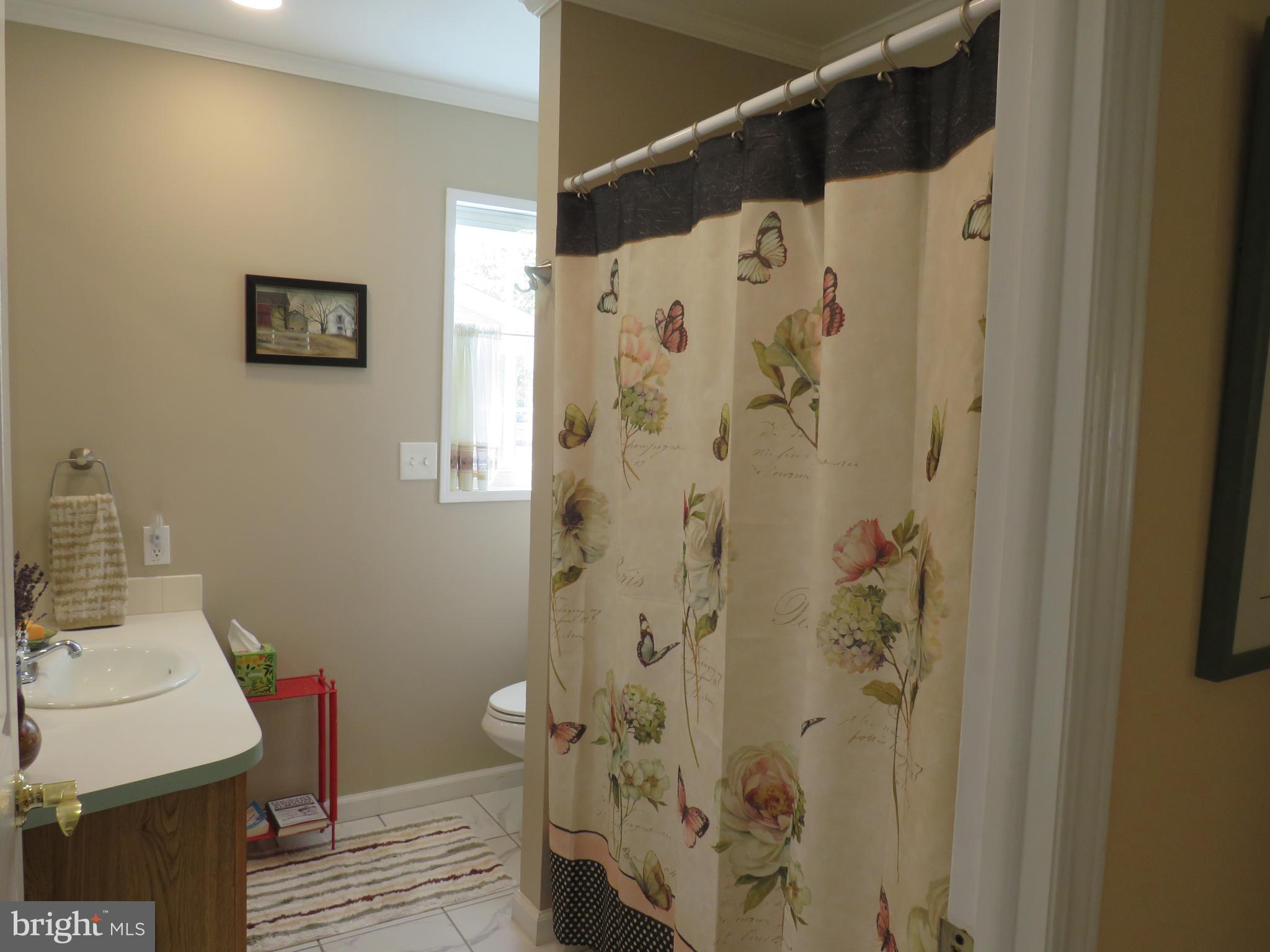 183 Spring Meadow Circle New Hope, PA 18938 - Photo 31 of 37 a bathroom with a sink and a shower curtain