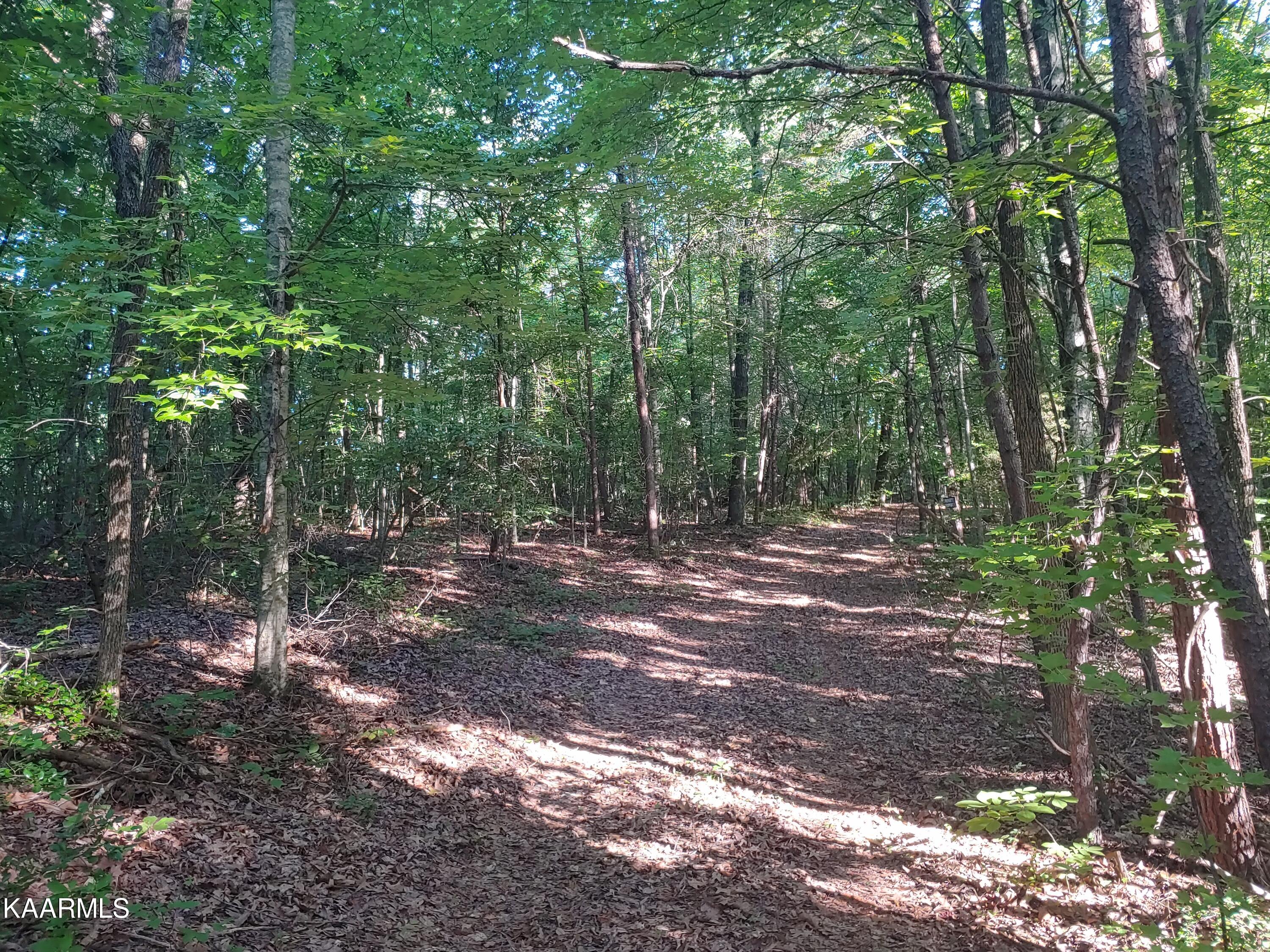 10-acres Ault Road Spring City, TN 37381 - Photo 1 of 13 0728220903_HDR