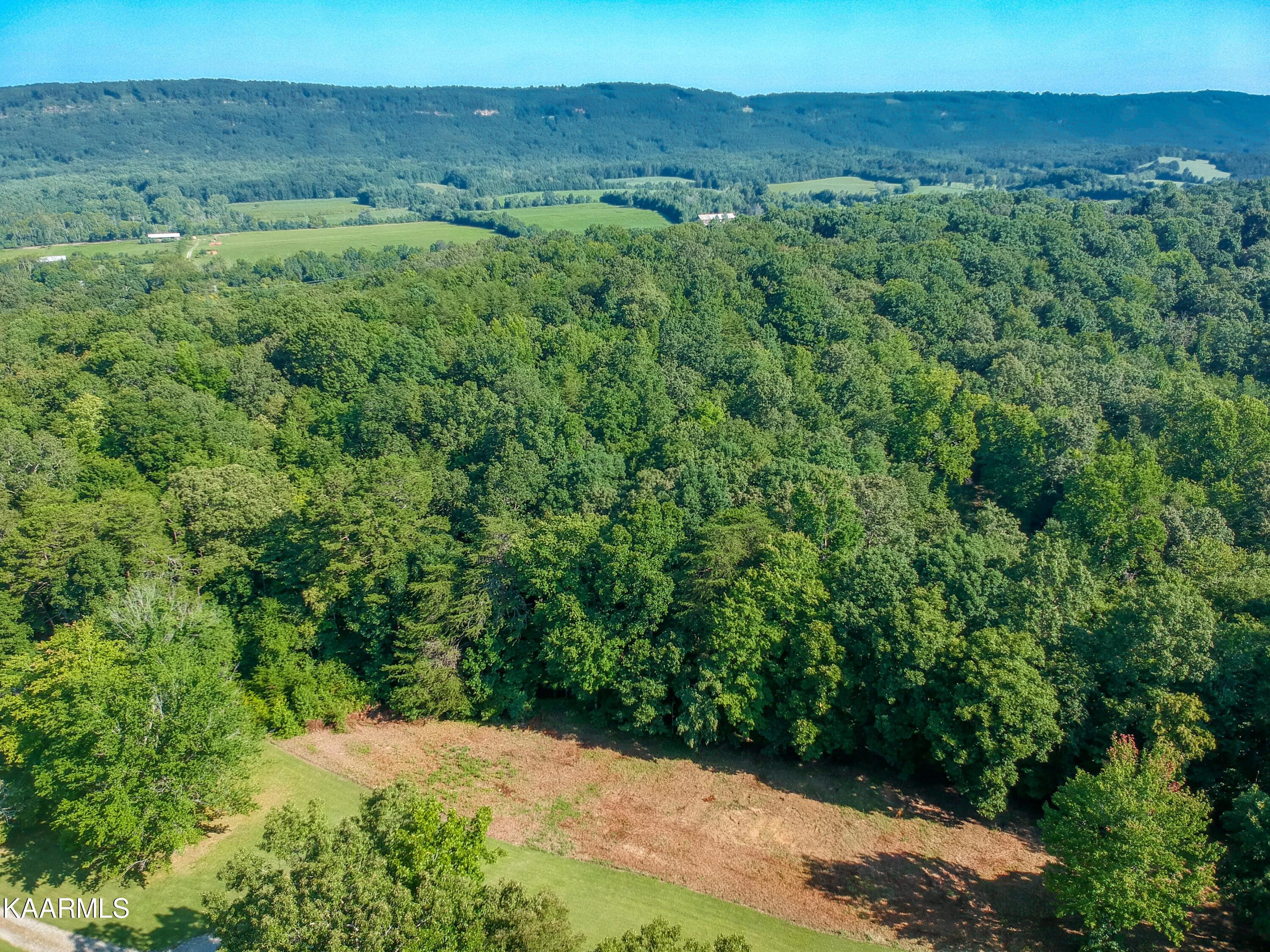 10-acres Ault Road Spring City, TN 37381 - Photo 11 of 13 401 Ault Rd-9