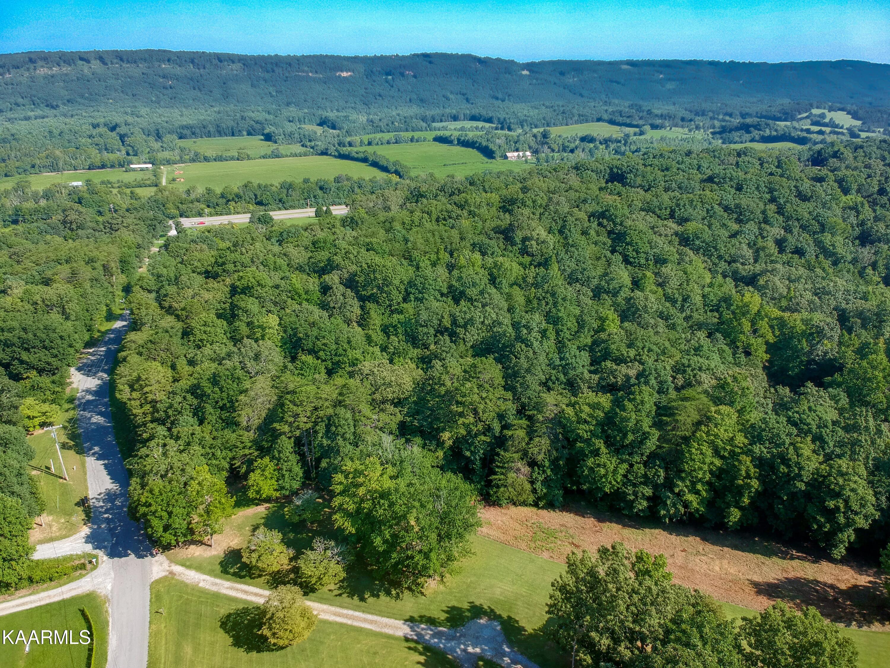 10-acres Ault Road Spring City, TN 37381 - Photo 12 of 13 401 Ault Rd-10