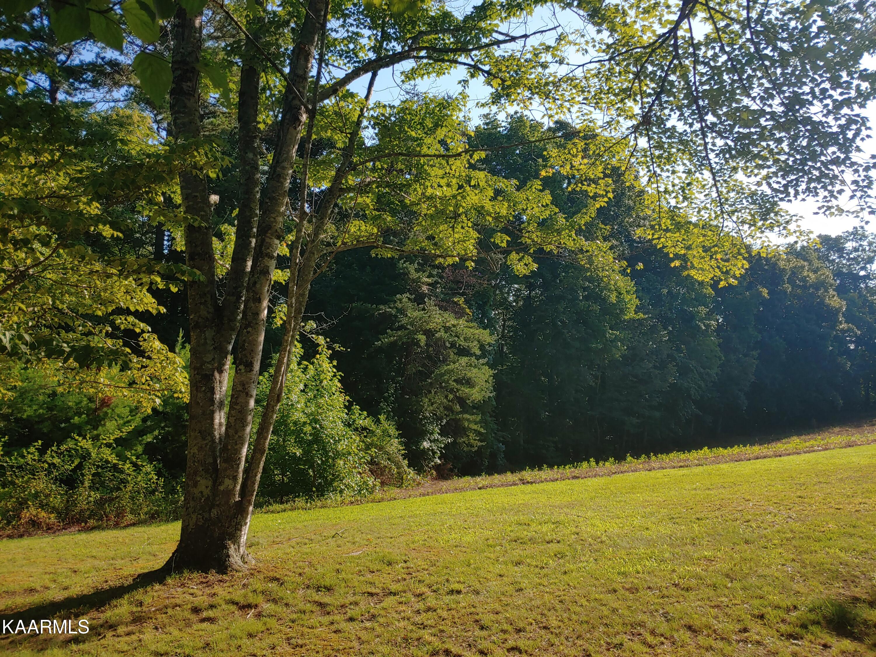 10-acres Ault Road Spring City, TN 37381 - Photo 2 of 13 0728220905_HDR