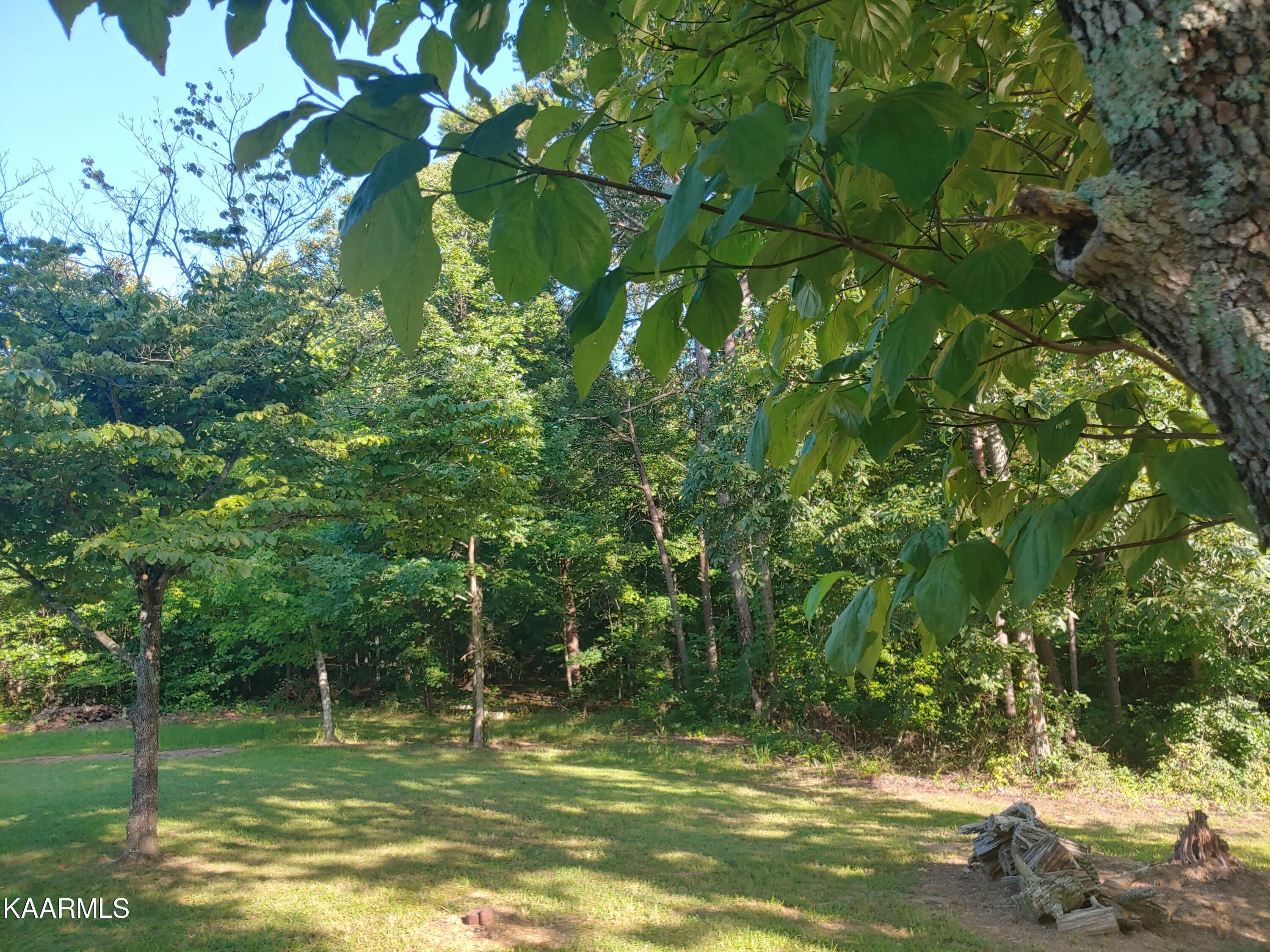 10-acres Ault Road Spring City, TN 37381 - Photo 3 of 13 0728220905a_HDR