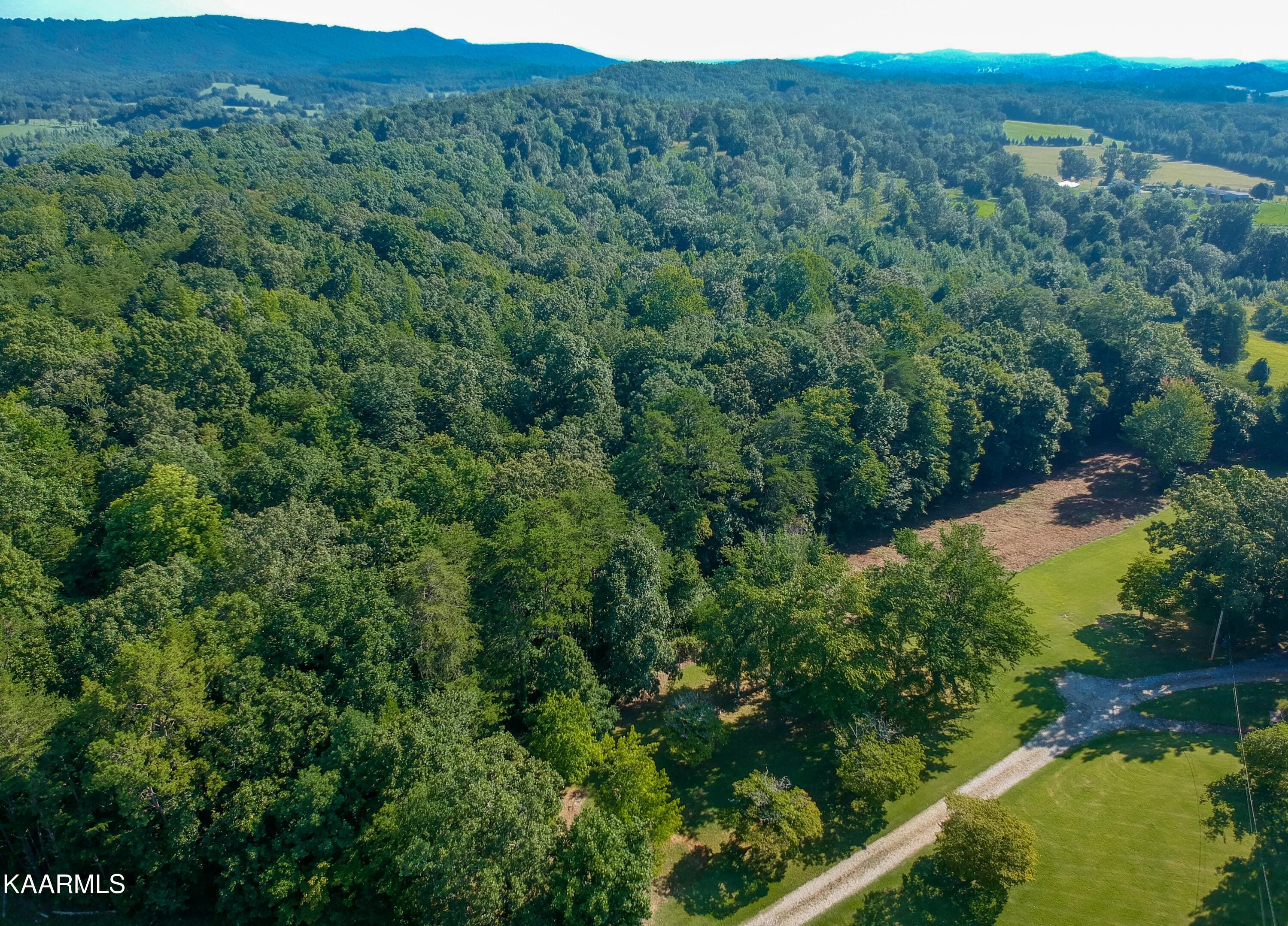 10-acres Ault Road Spring City, TN 37381 - Photo 4 of 13 401 Ault Rd-2