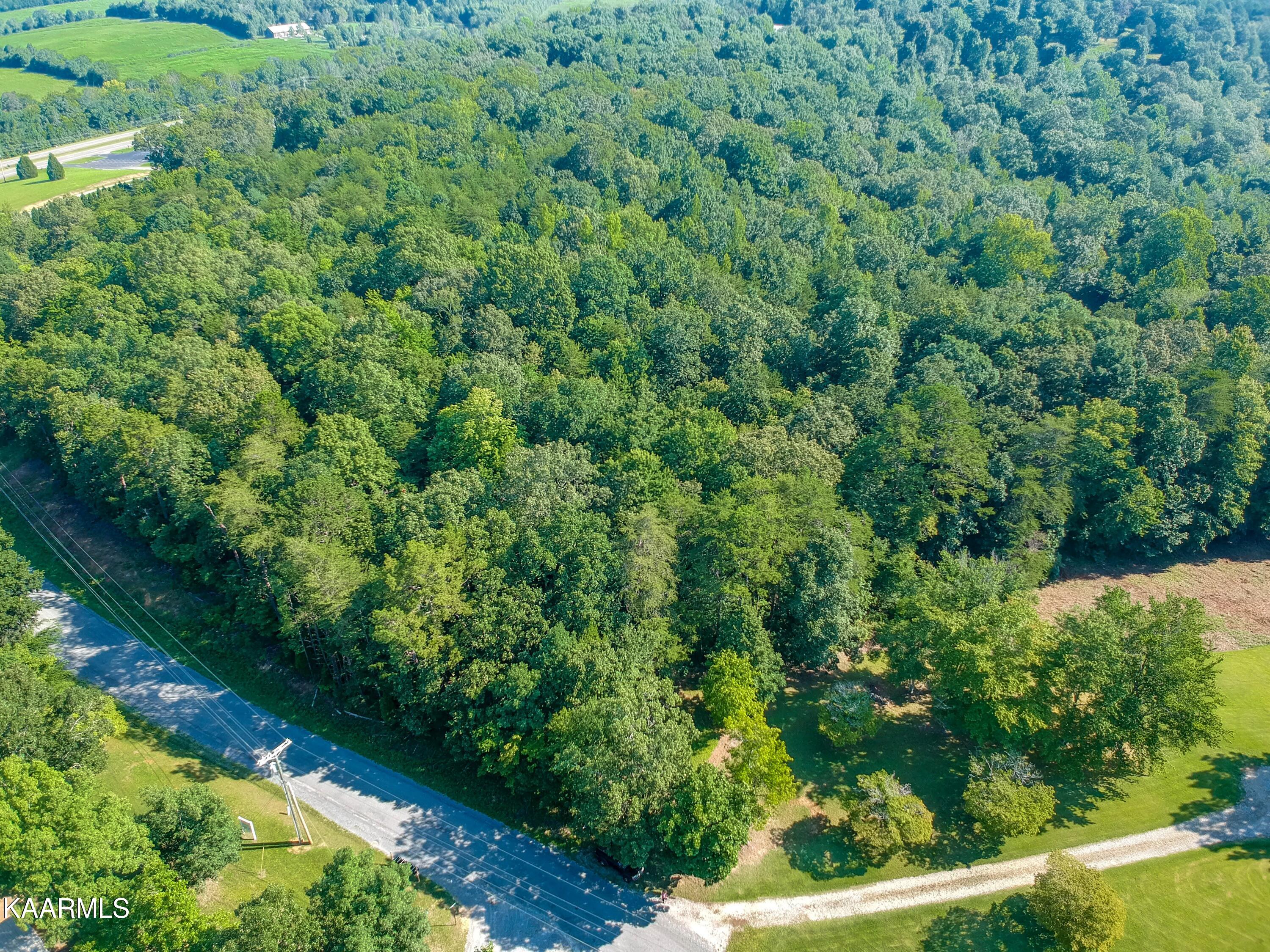 10-acres Ault Road Spring City, TN 37381 - Photo 5 of 13 401 Ault Rd-3