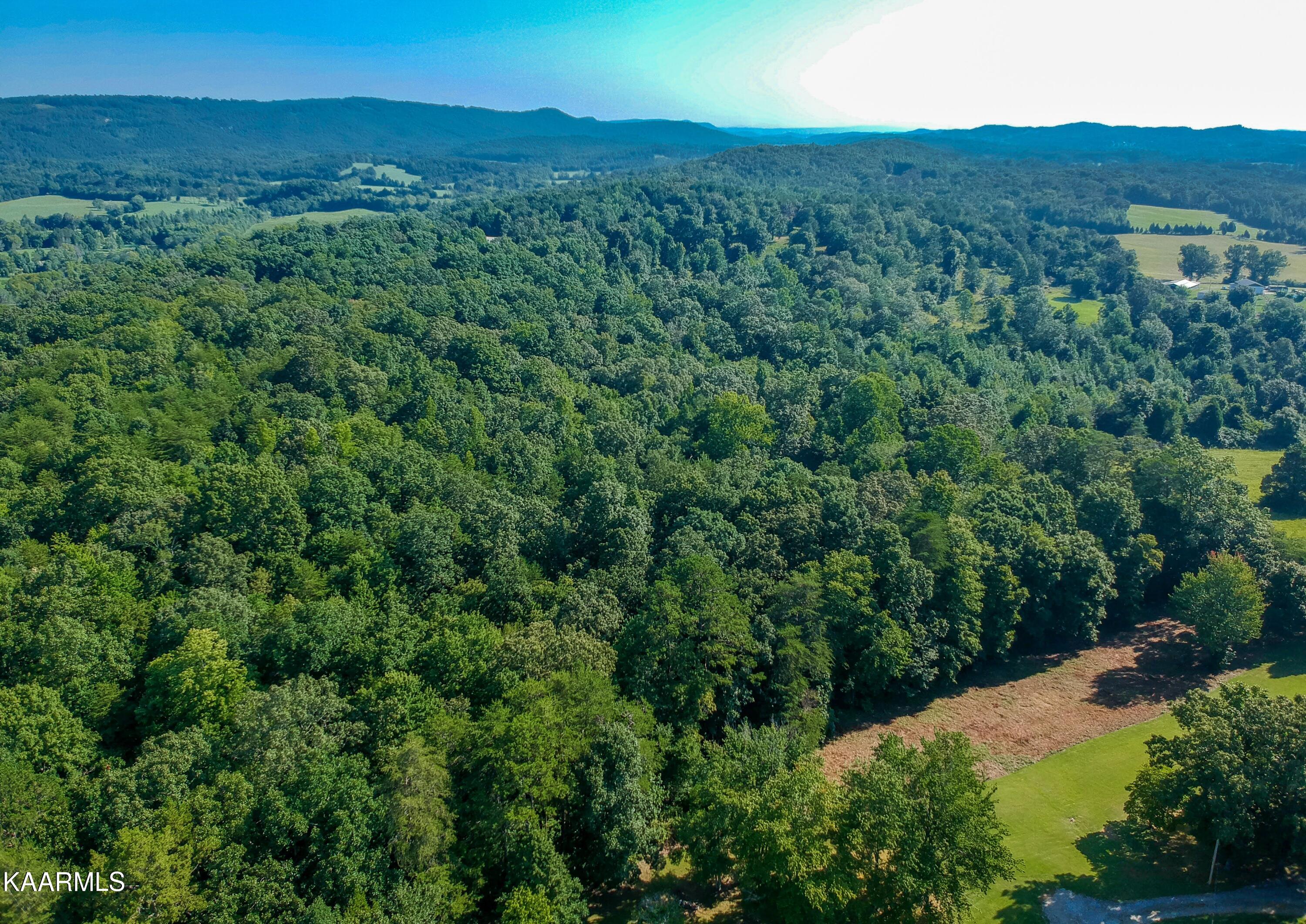 10-acres Ault Road Spring City, TN 37381 - Photo 6 of 13 401 Ault Rd-4