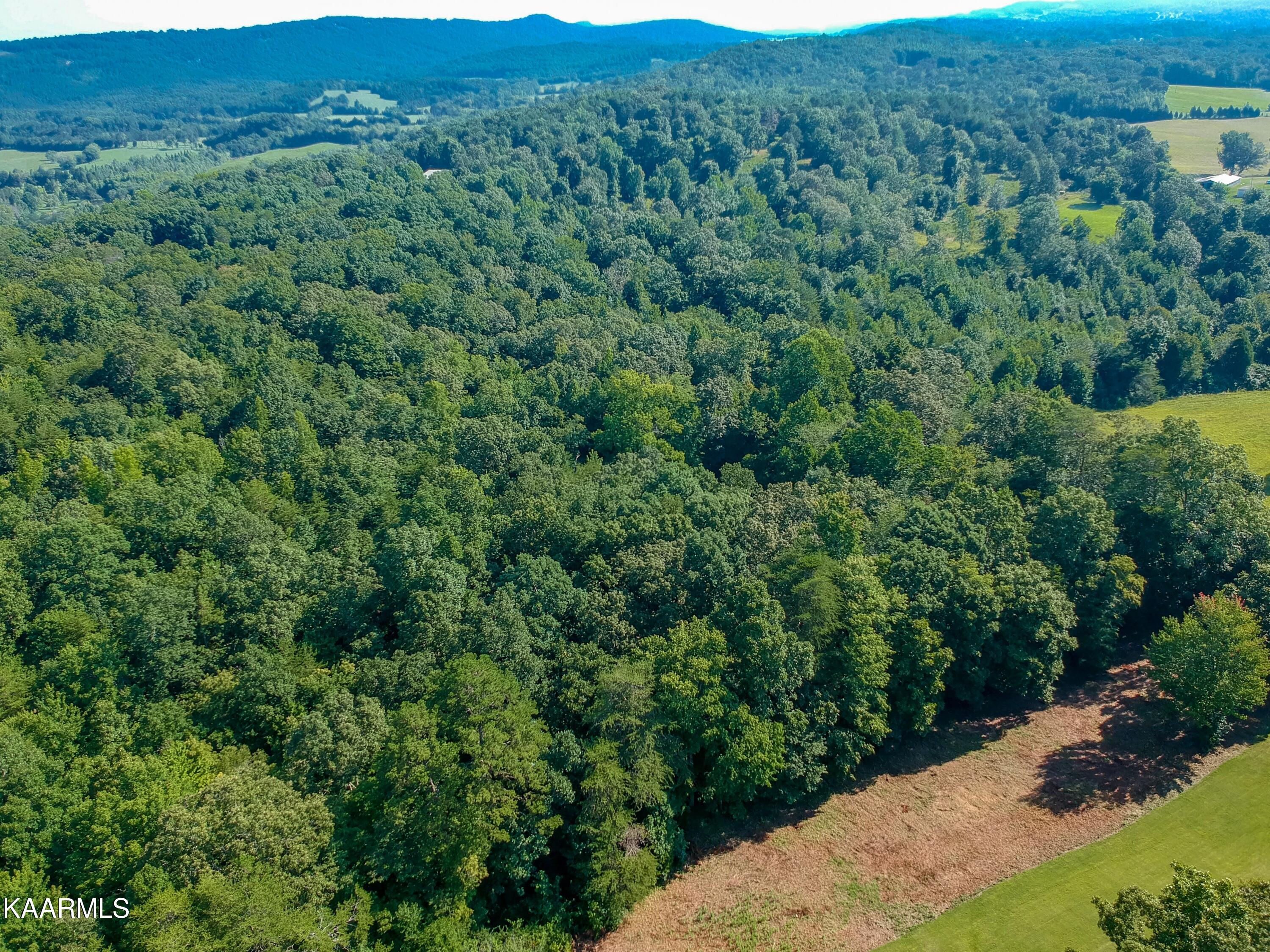 10-acres Ault Road Spring City, TN 37381 - Photo 7 of 13 401 Ault Rd-5