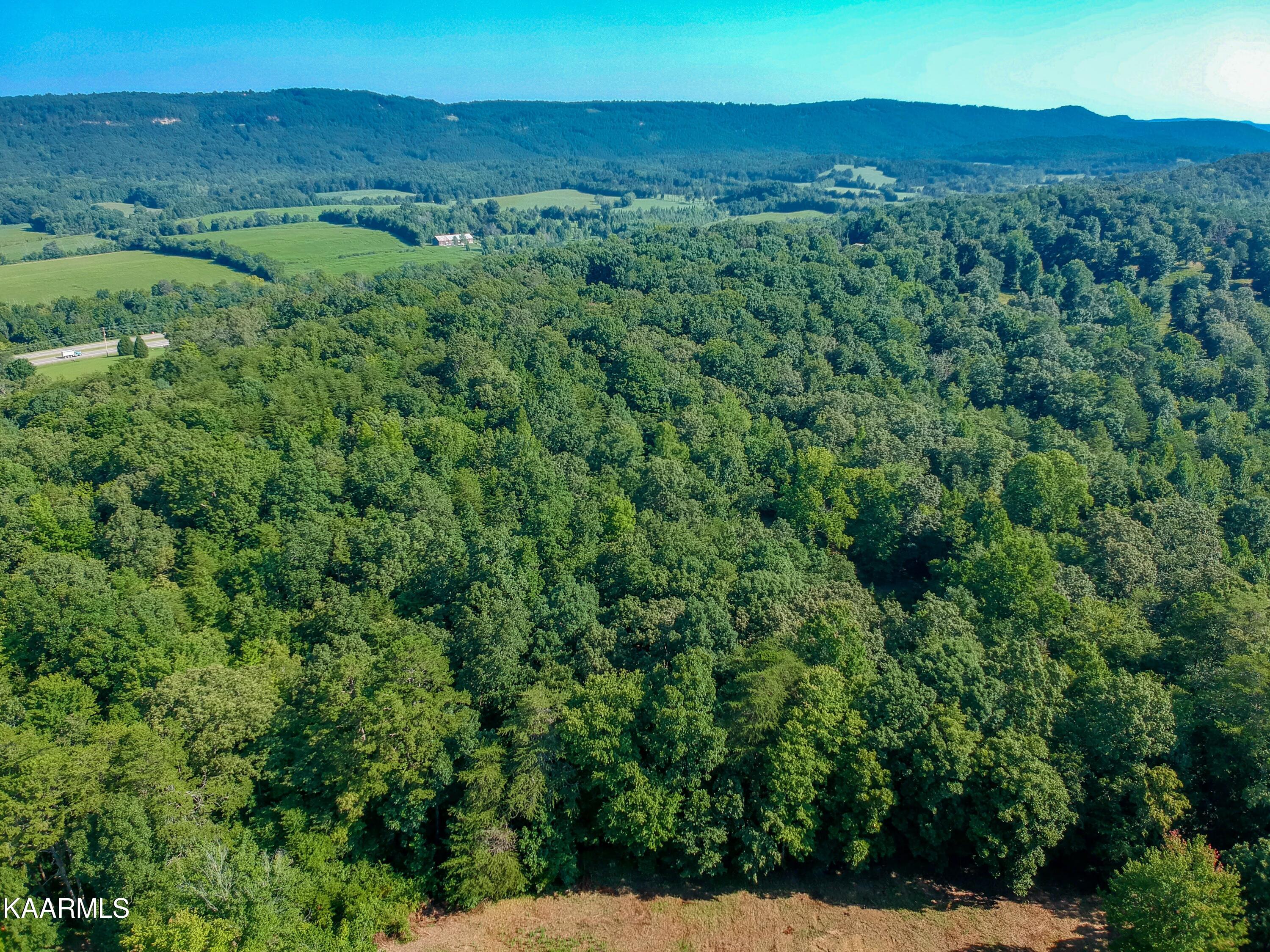 10-acres Ault Road Spring City, TN 37381 - Photo 9 of 13 401 Ault Rd-7