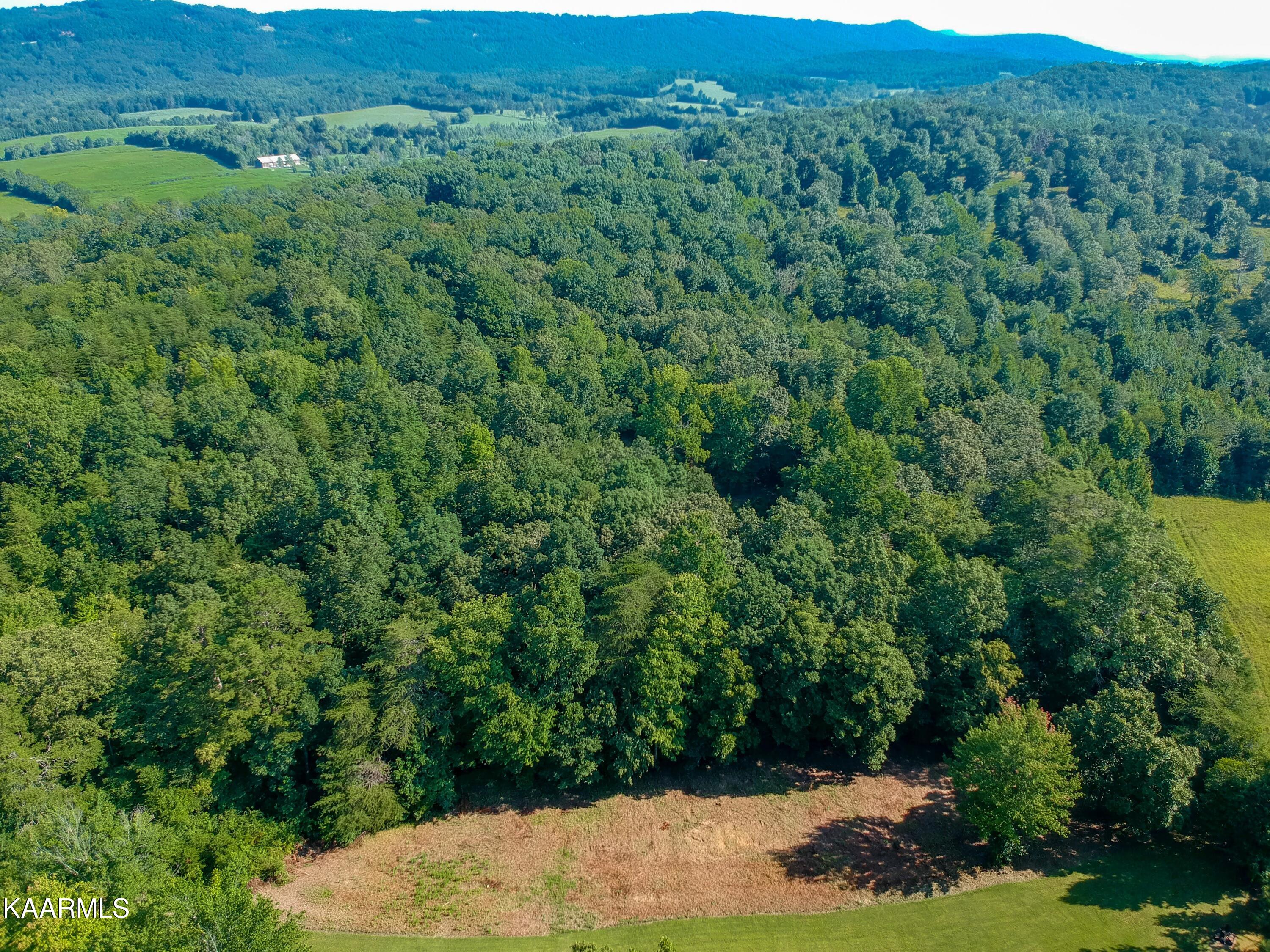 10-acres Ault Road Spring City, TN 37381 - Photo 10 of 13 401 Ault Rd-8