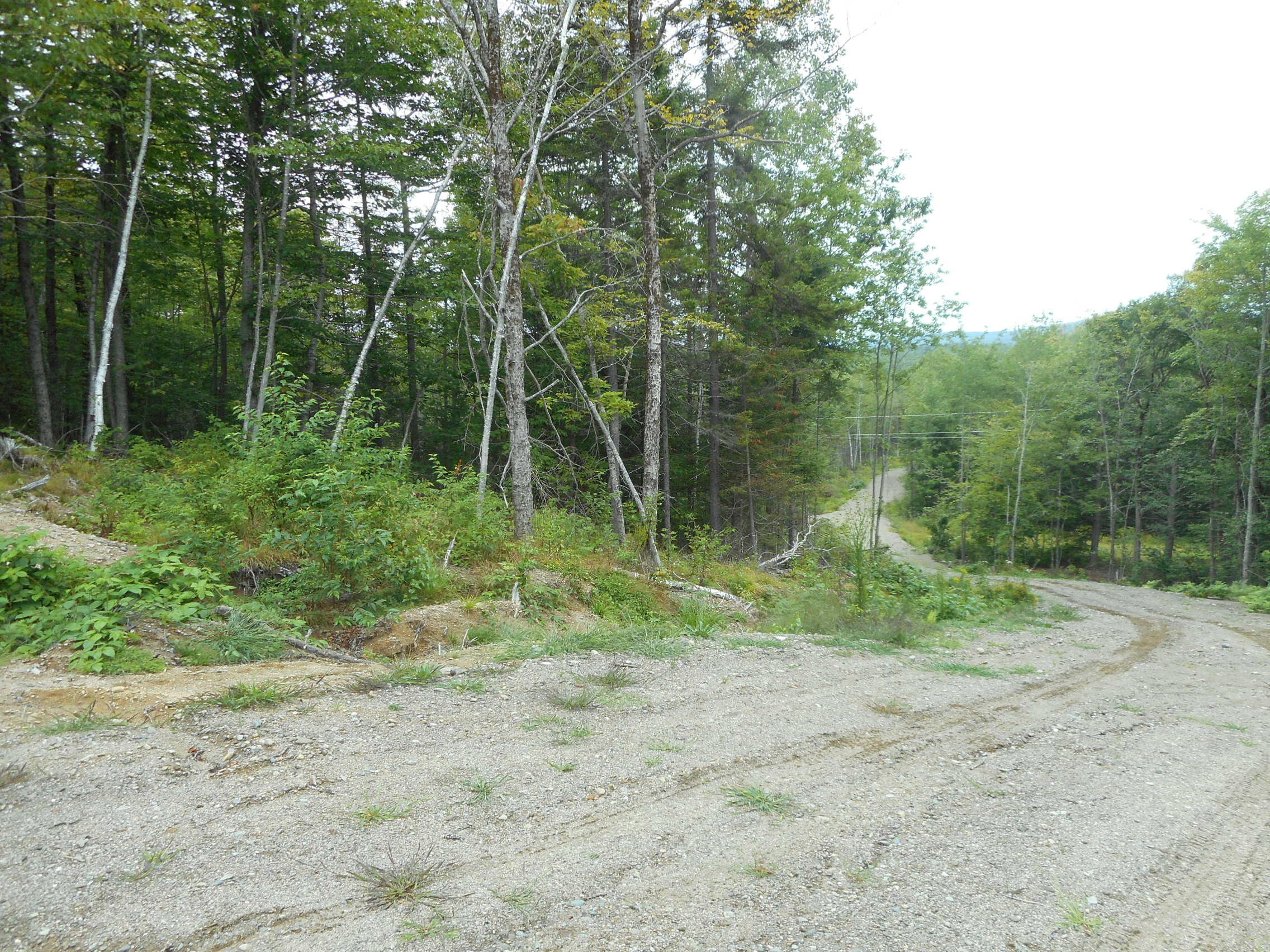 Lot 8-31 Keene Road Lincoln, ME 04457 - Photo 5 of 7 DSCN2716