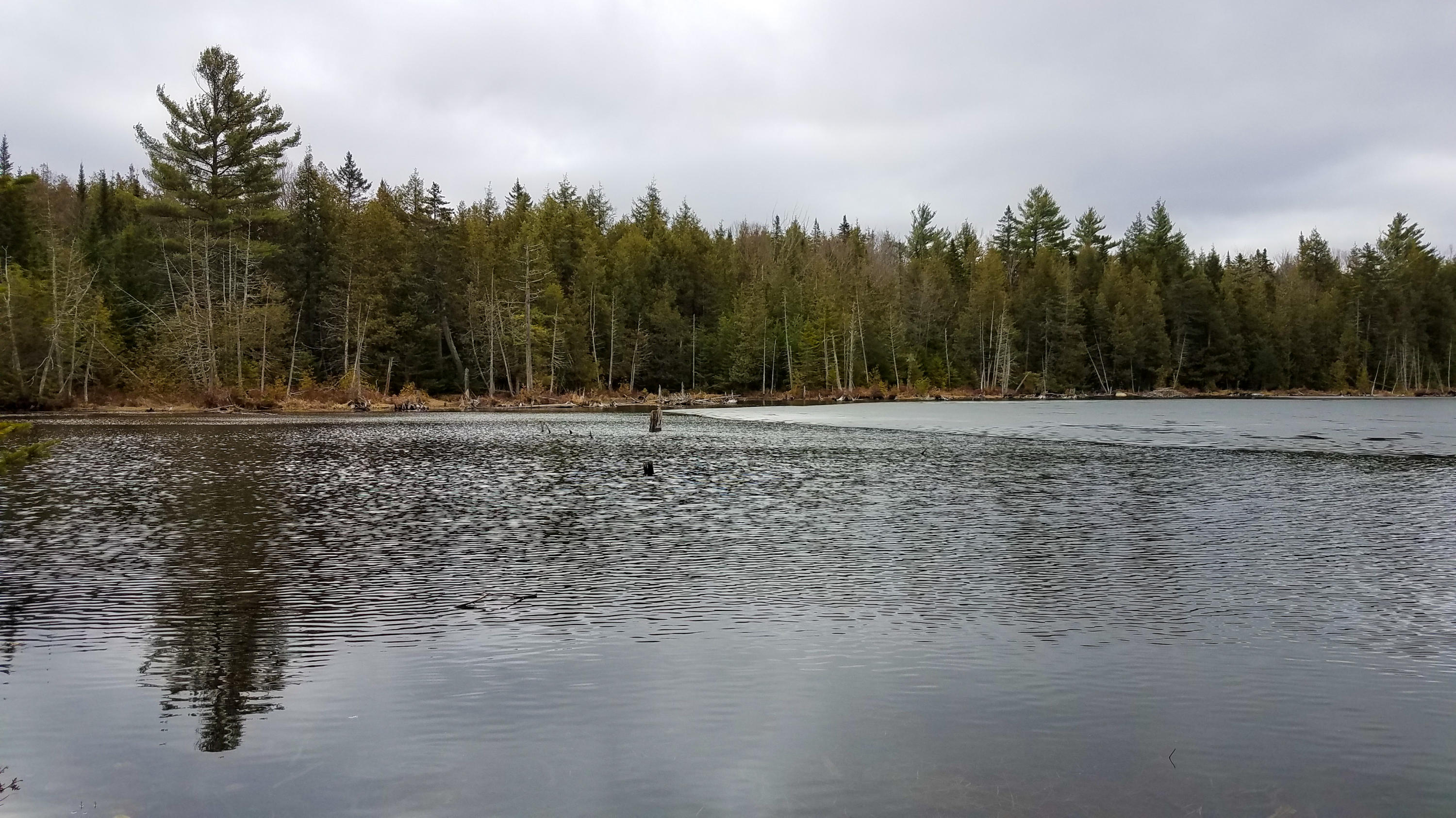 Lot 30 Charleston Road Dexter, ME 04930 - Photo 7 of 42 Lot 30 (3 of 38)