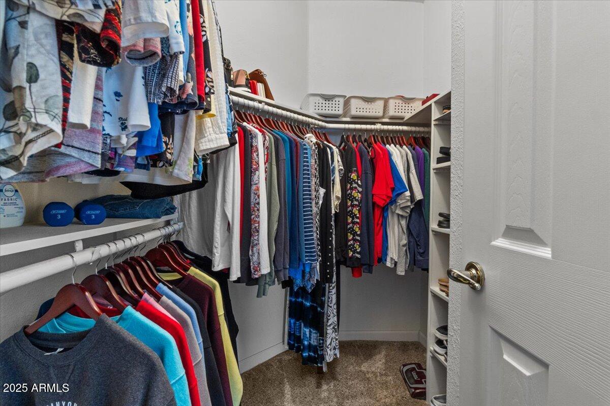 834 South Meridian Road, Unit 54 Apache Junction, AZ 85120 - Photo 29 of 56 a view of walk in closet with clothes