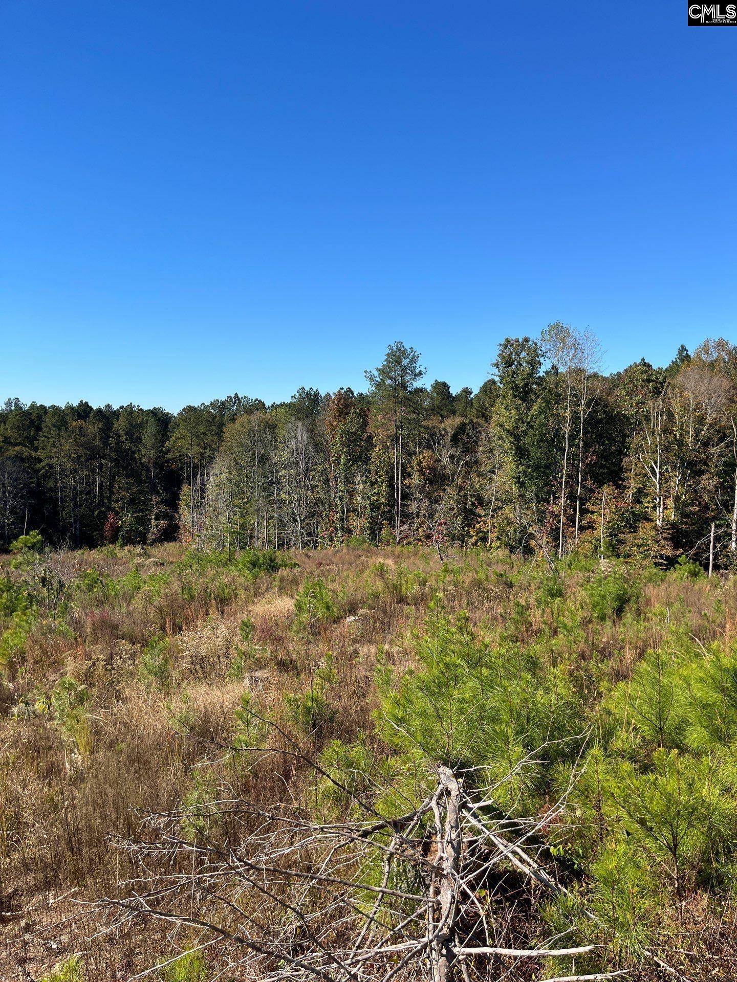 3 Dawkins Road, Unit DRF 3 Whitmire, SC 29178 - Photo 23 of 38
