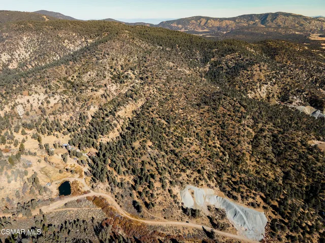 a view of a forest with mountains in the background