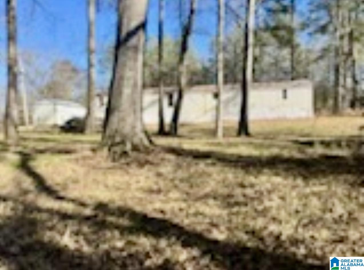 282 Evans Circle Jasper, AL 35501 - Photo 25 of 26