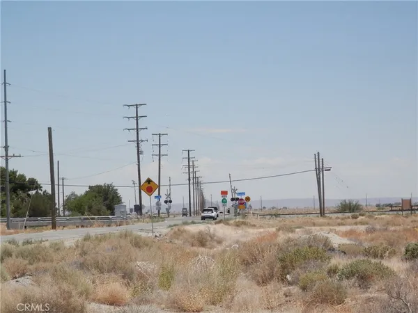 a view of a dry yard