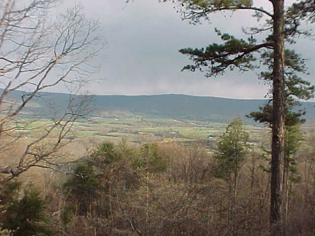 289 Big Spring Gap Road Pikeville, TN 37367 - Photo 1 of 9 Primary Photo