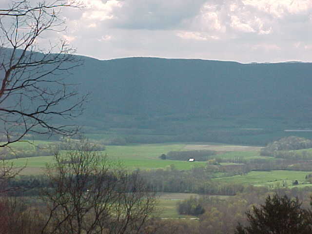 289 Big Spring Gap Road Pikeville, TN 37367 - Photo 8 of 9 Additional Photo