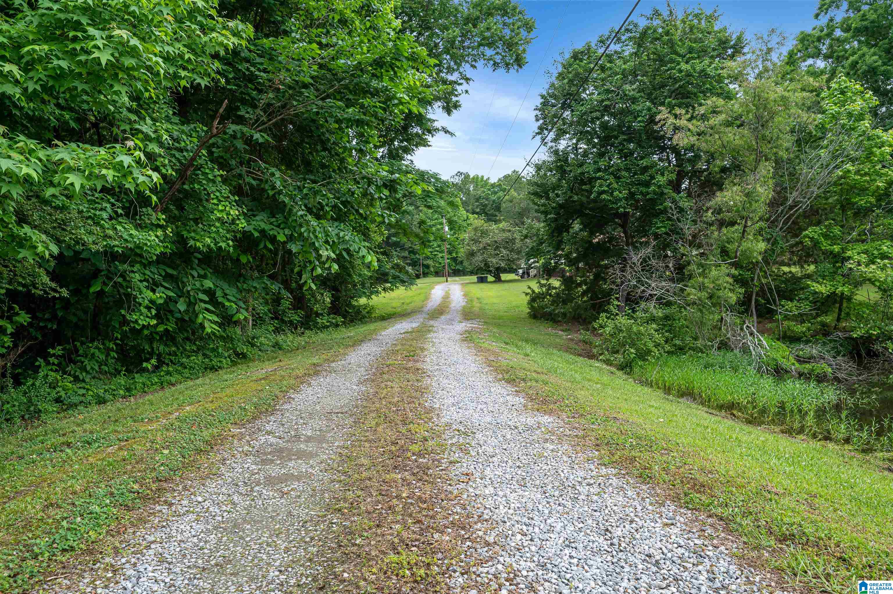3869 Highway 155 Montevallo, AL 35115 - Photo 52 of 66