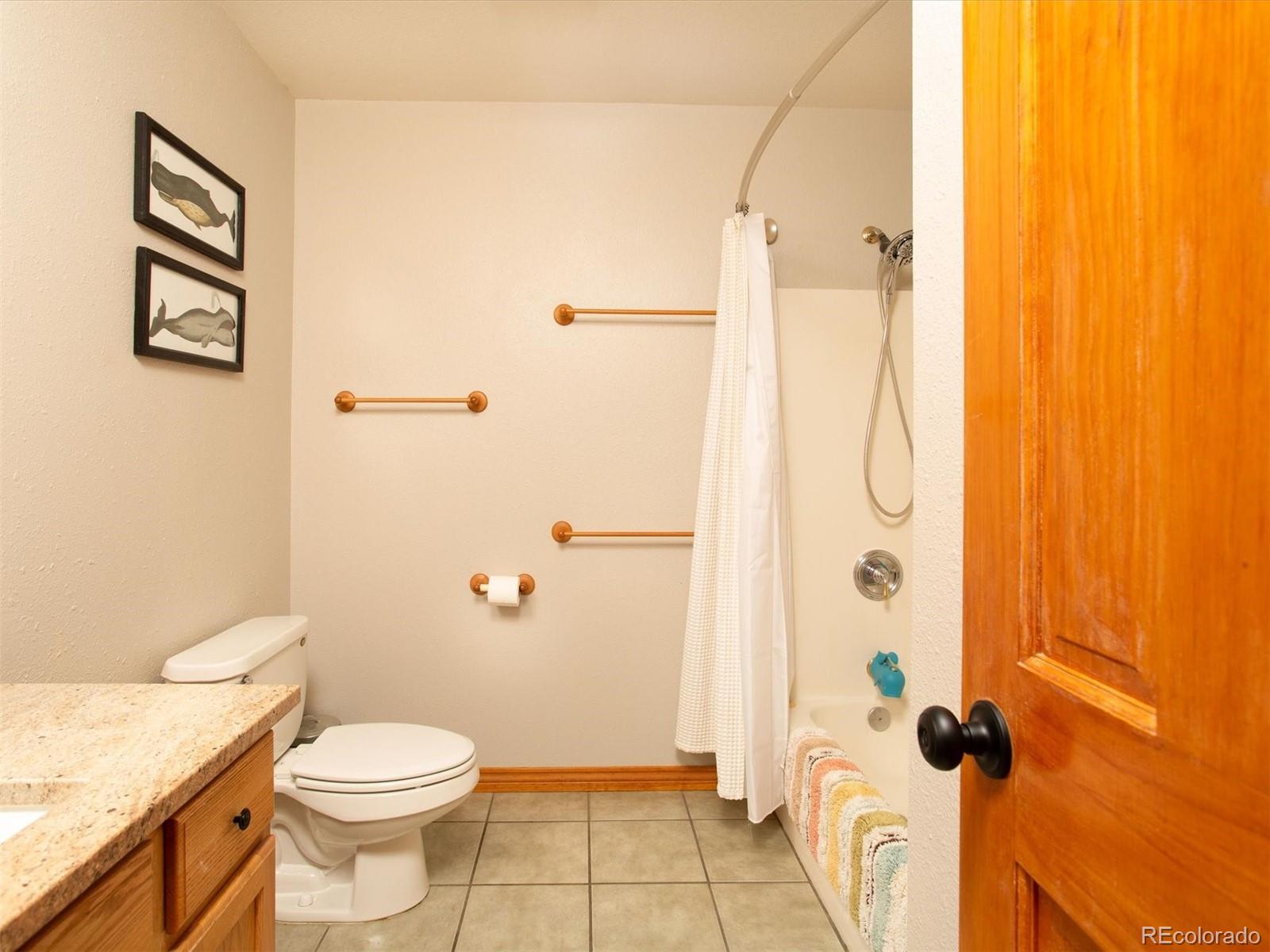 35 Forest Drive Bailey, CO 80421 - Photo 12 of 28