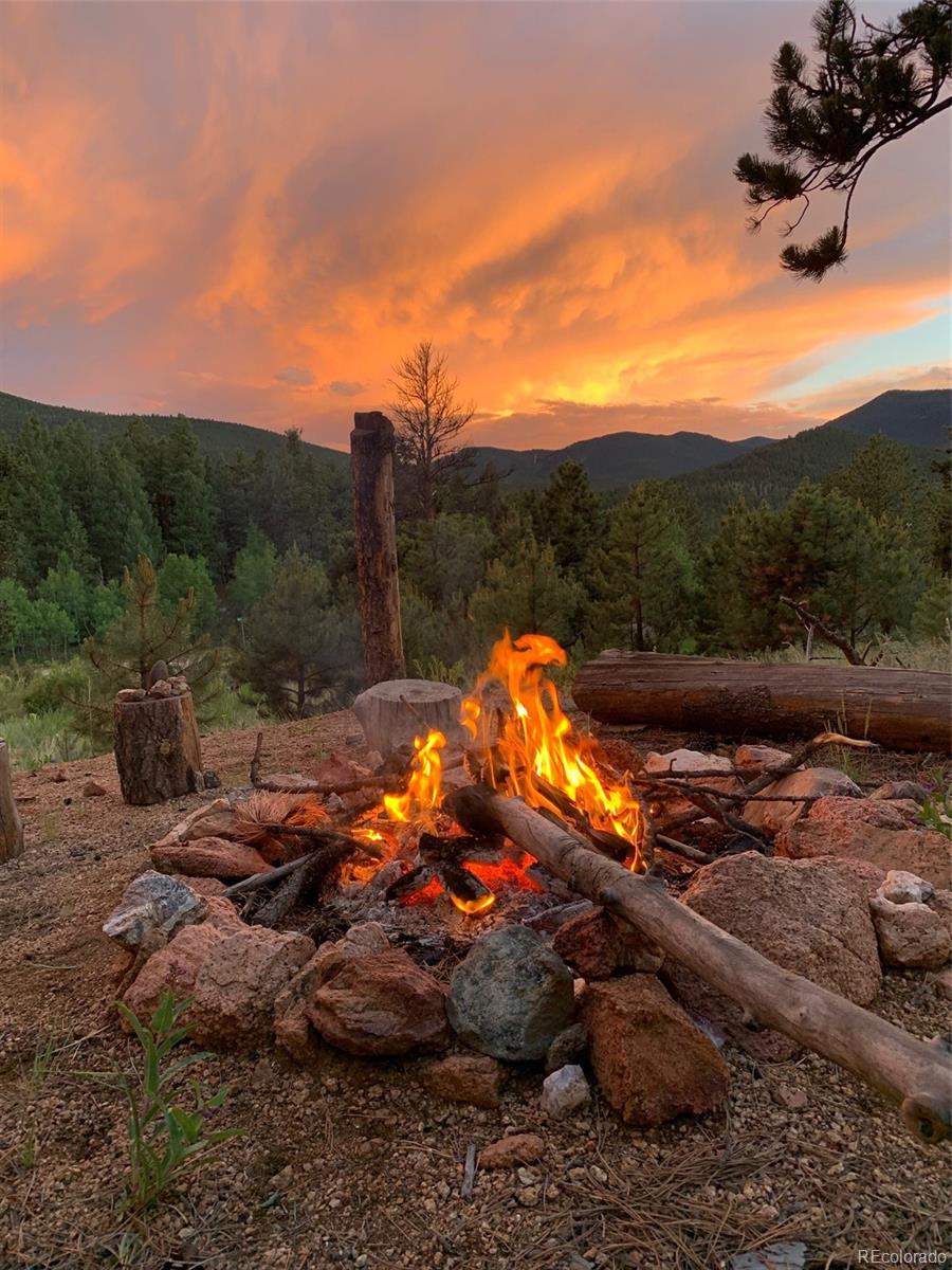 35 Forest Drive Bailey, CO 80421 - Photo 26 of 28