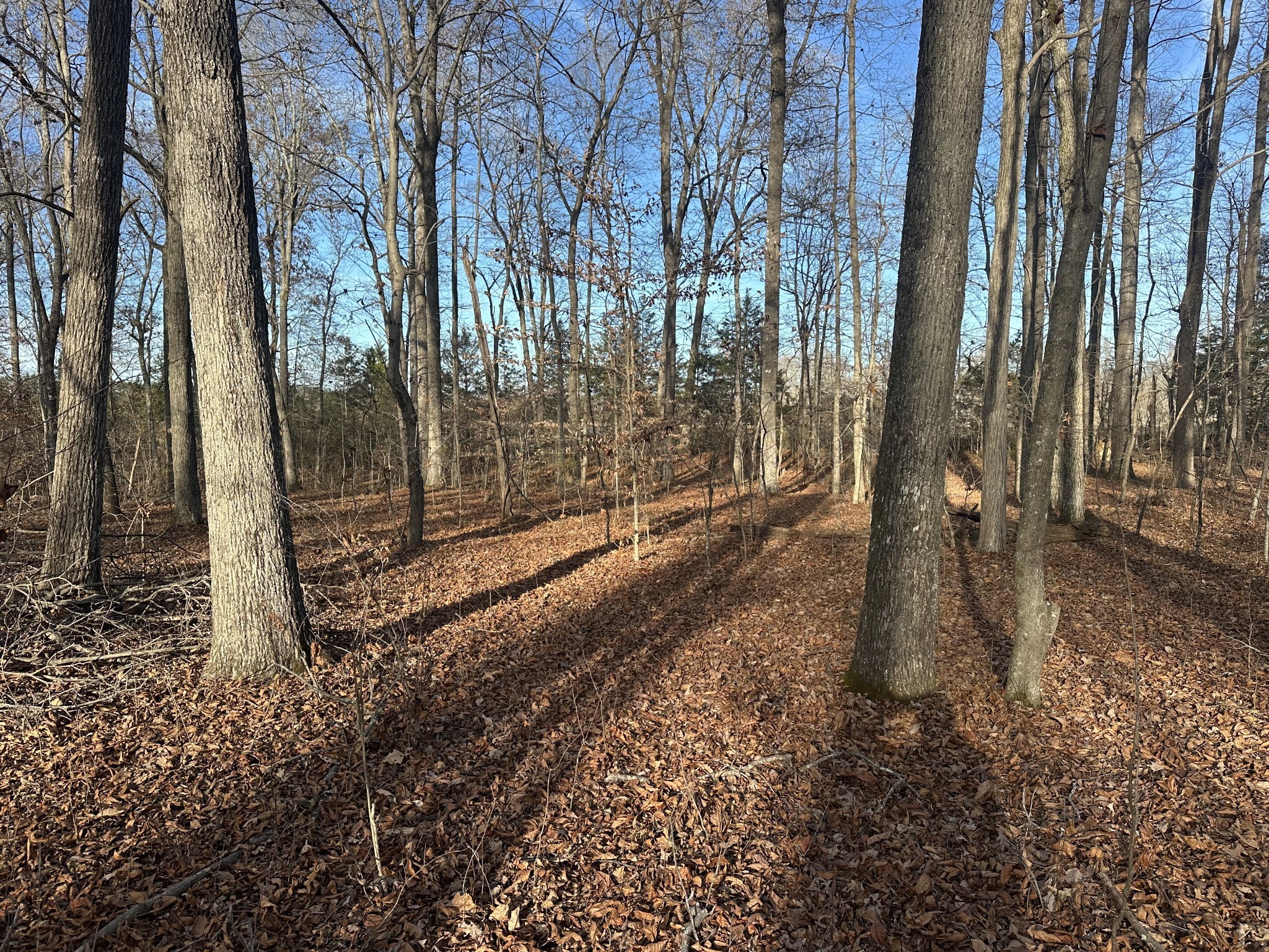 0 Arnold Thomas Road Silver Point, TN 38582 - Photo 22 of 23 Gallery Image 22