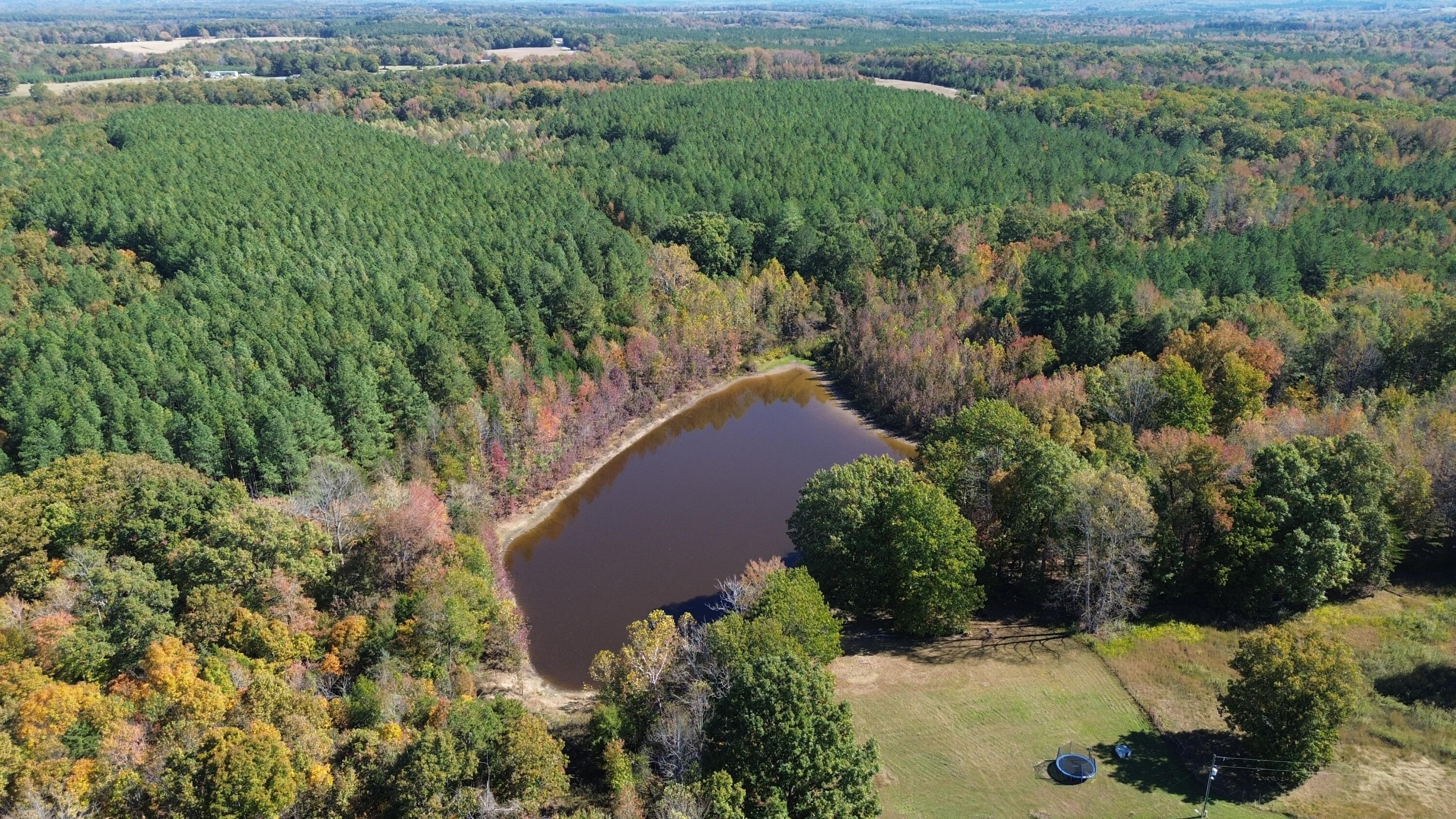 8100 Stage Coach Road Nathalie, VA 24577 - Photo 12 of 17 dji_fly_20251021_123156_243_176106434177