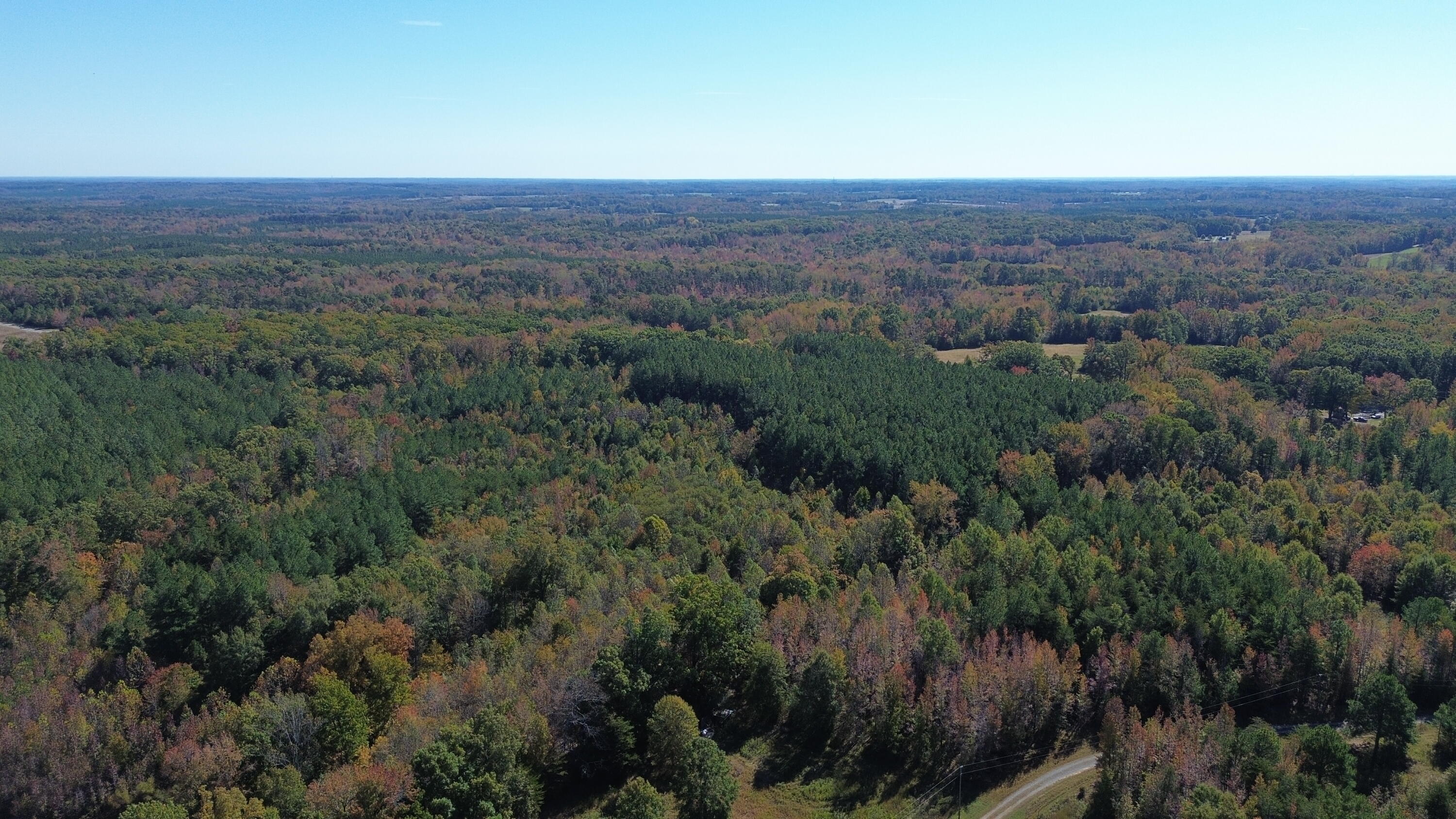8100 Stage Coach Road Nathalie, VA 24577 - Photo 14 of 17 a view of a city with lush green forest