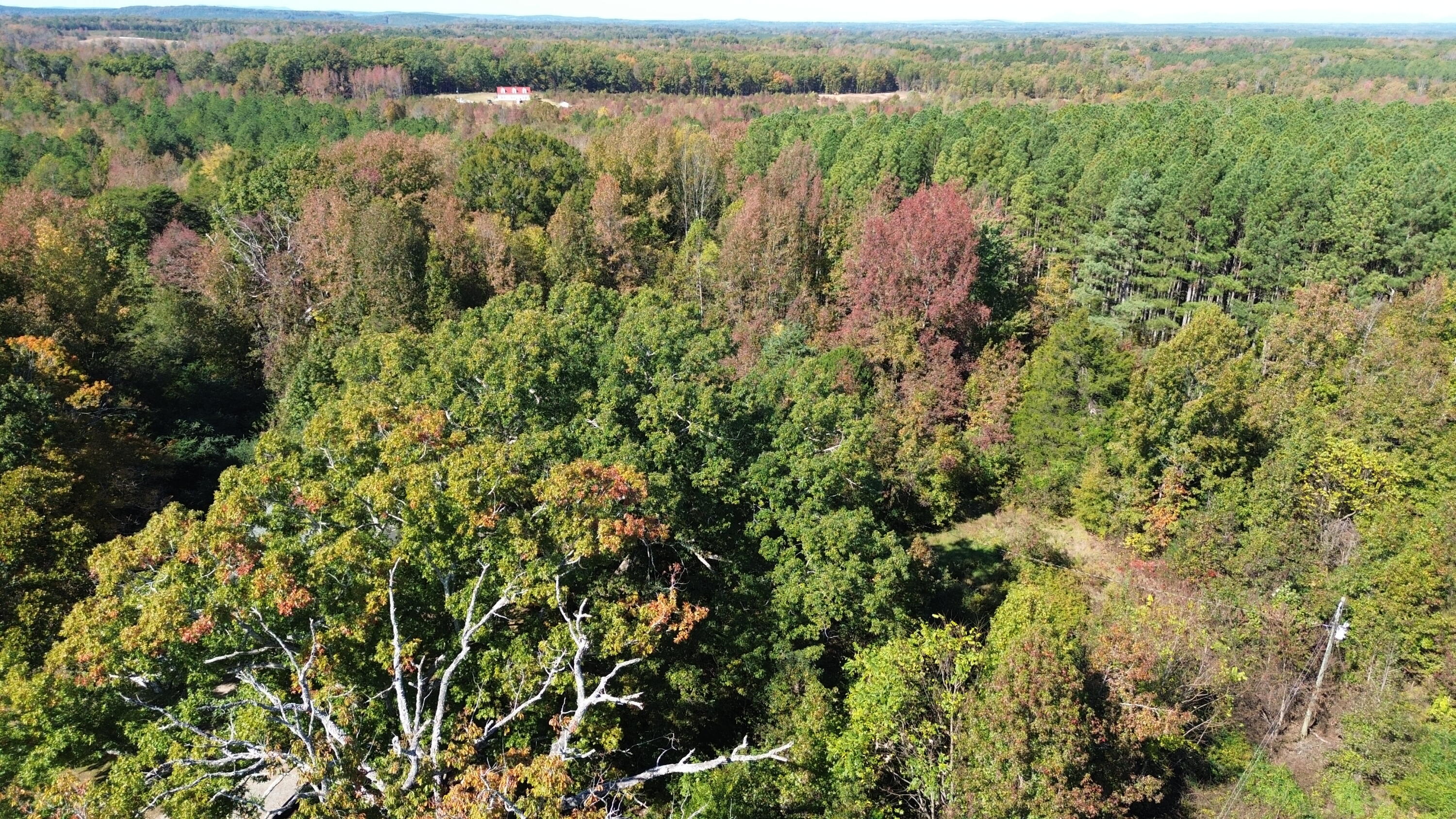 8100 Stage Coach Road Nathalie, VA 24577 - Photo 3 of 17 dji_fly_20251021_121358_230_176106331991