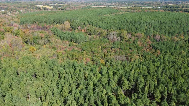 a view of a city with lush green forest