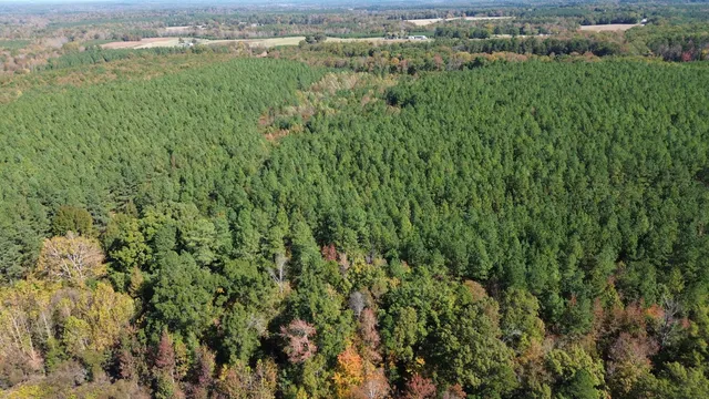 $575,000 | 8100 Stage Coach Road, Nathalie, VA 24577