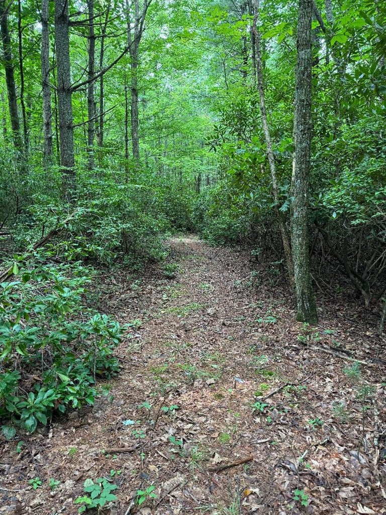 810 Loggy Ridge Road Hillsville, VA 24343 - Photo 25 of 41 Gallery Image 25