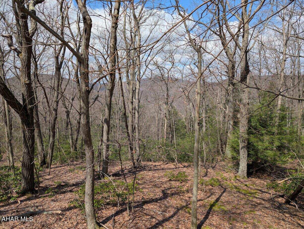 189 Ridge Run Road Imler, PA 16655 - Photo 10 of 11