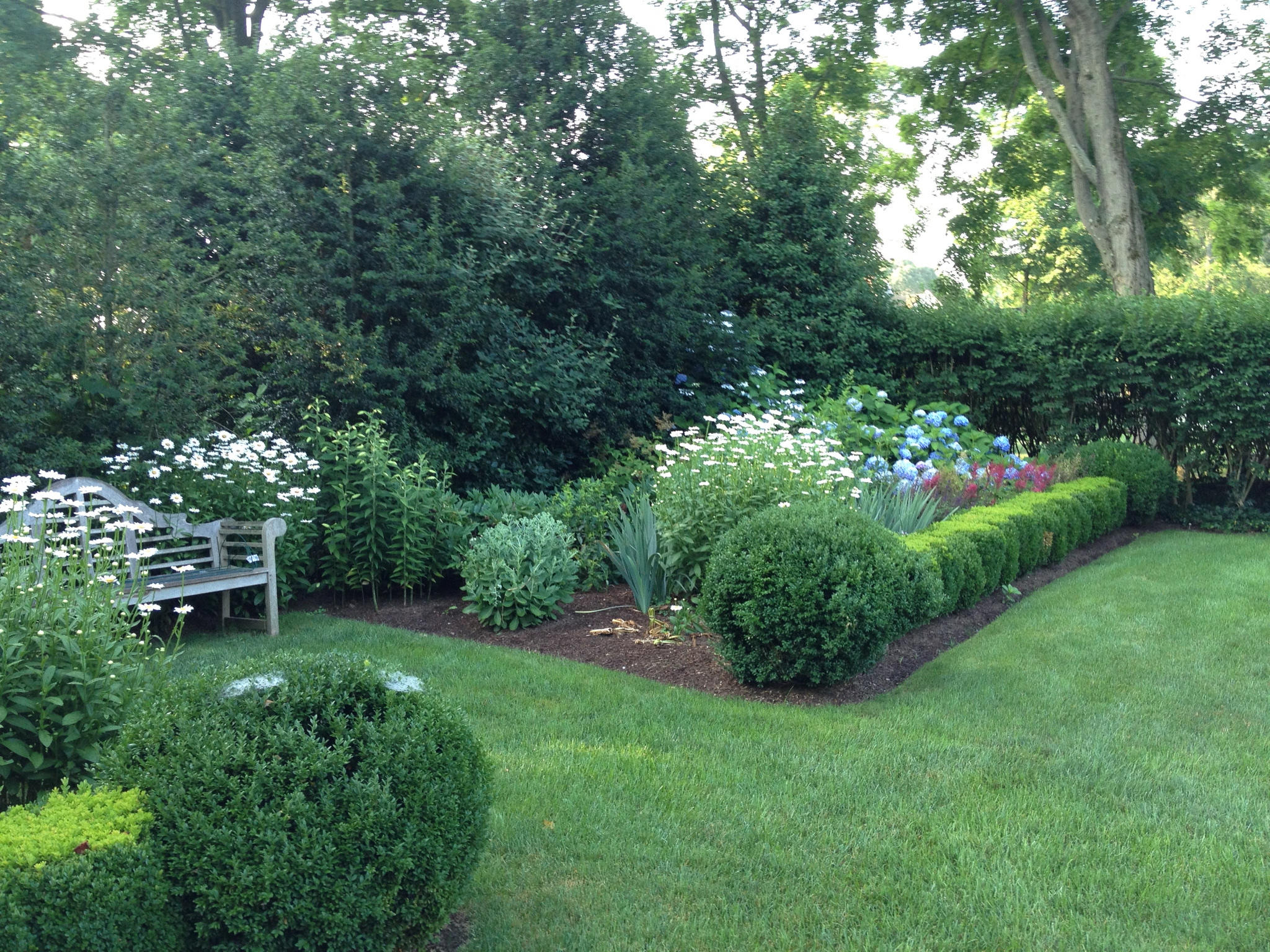 6 Davis Lane Darien, CT 06820 - Photo 35 of 49 a garden with a bench and some trees