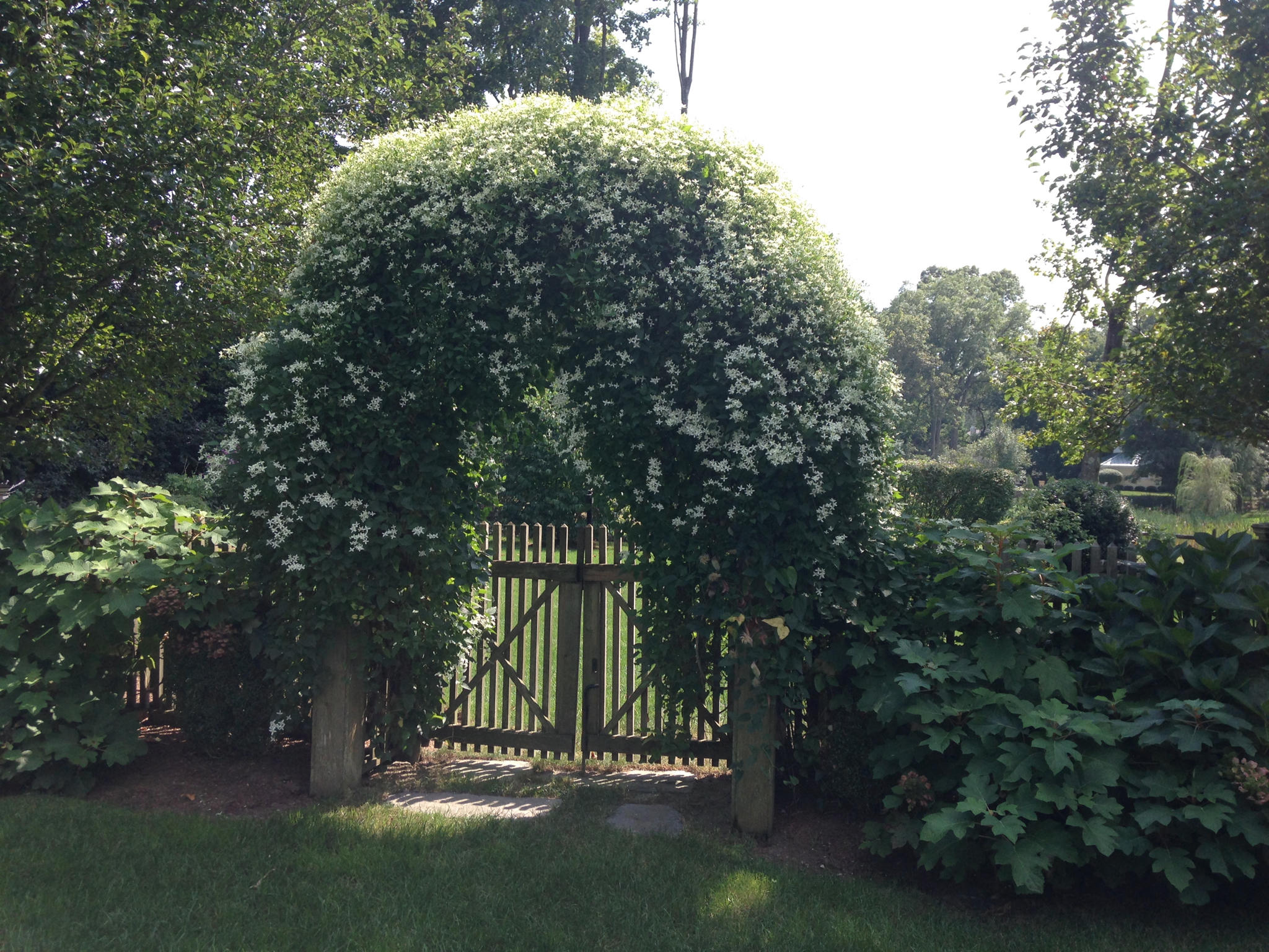 6 Davis Lane Darien, CT 06820 - Photo 40 of 49 a view of outdoor space and garden