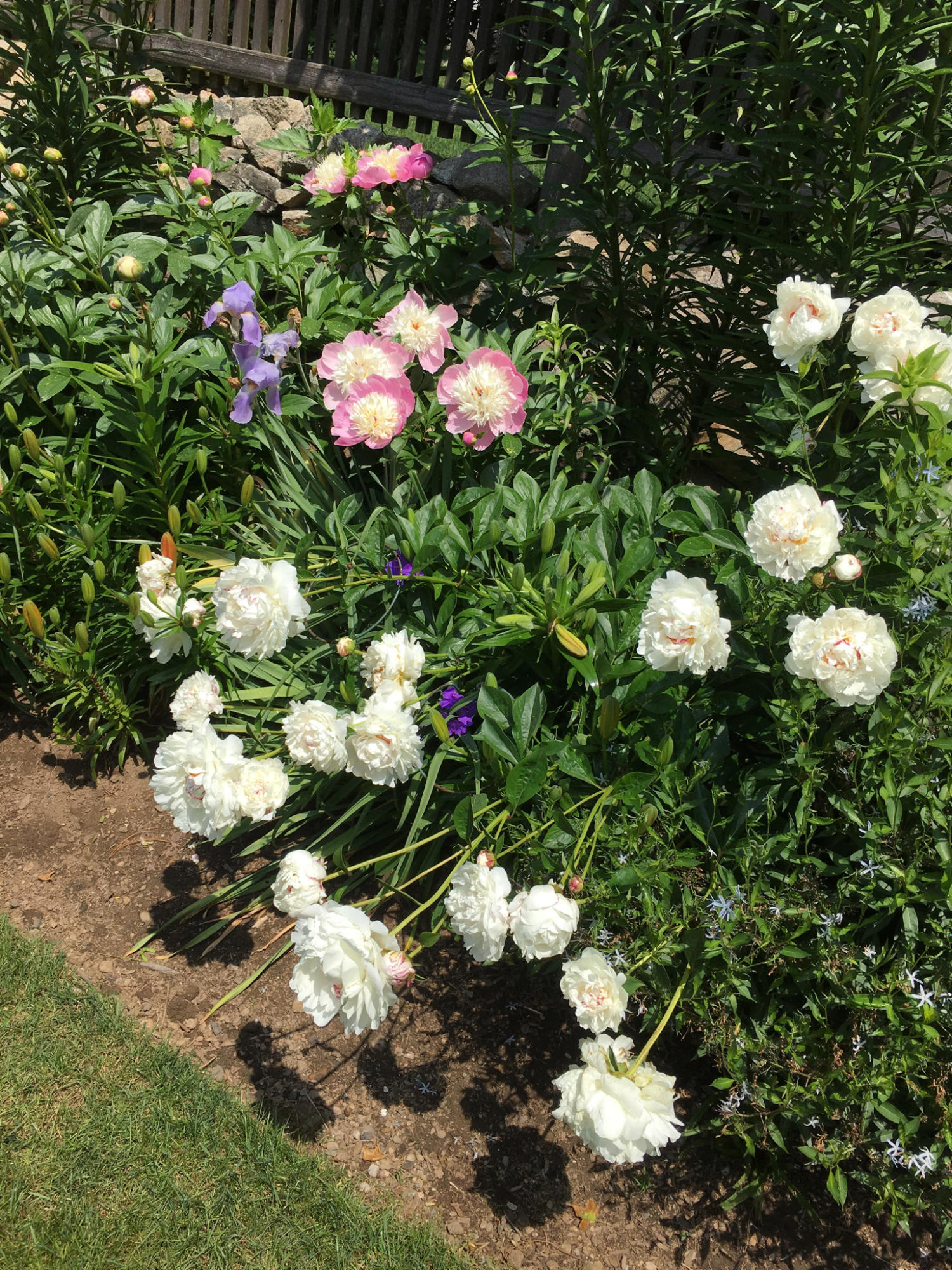 6 Davis Lane Darien, CT 06820 - Photo 45 of 49