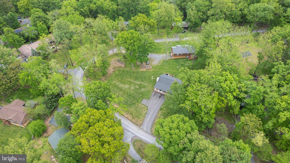 106 Split Rail Road Front Royal, VA 22630 - Photo 34 of 35 a view of a forest with a house