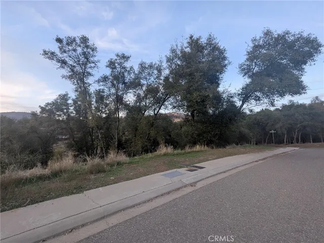 a view of a rural road with plants