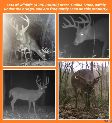 $169,900 | 7800 Tunica Trace, St. Francisville, LA 70775