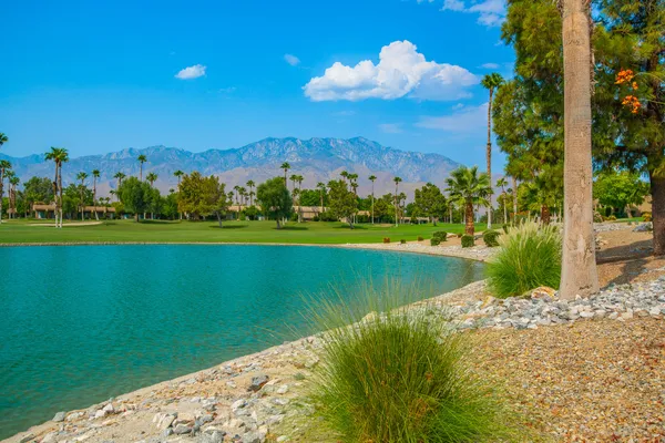 a view of a golf course with a lake