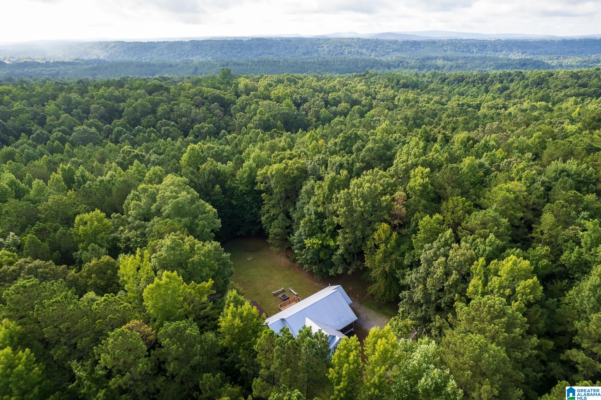 41 New Lebanon Road Odenville, AL 35120 - Photo 38 of 46 Gallery Image 38