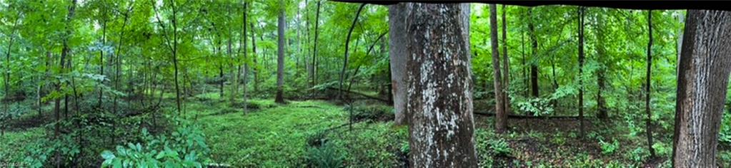 7767 Pearman Quarry Road Kernersville, NC 27284 - Photo 27 of 27