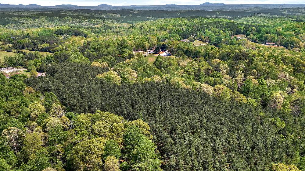 120 Collins Road Salem, SC 29676 - Photo 6 of 10 Vast, verdant forest expanses offer natural tranquility and expansive acreage opportunities.
