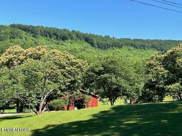 239 Miller Road Pikeville, TN 37367 - Photo 2 of 29 a view of a grassy field with trees