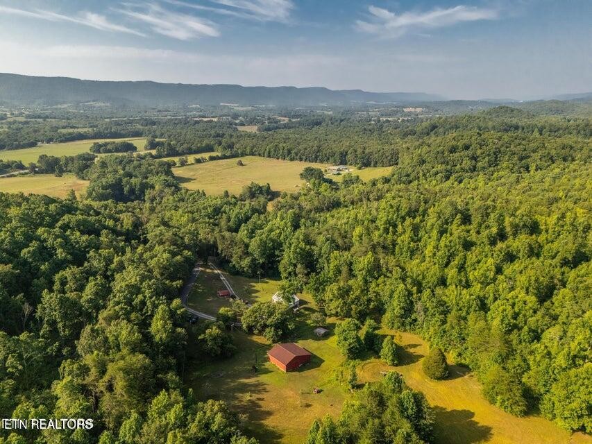 239 Miller Road Pikeville, TN 37367 - Photo 22 of 29 a view of lake with mountain