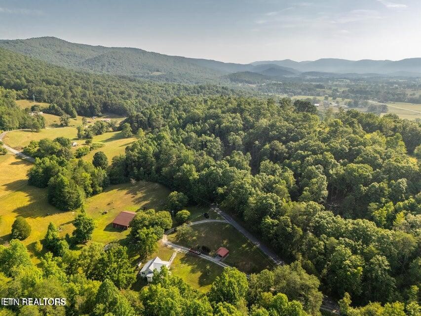 239 Miller Road Pikeville, TN 37367 - Photo 24 of 29 a view of a mountain and a mountain