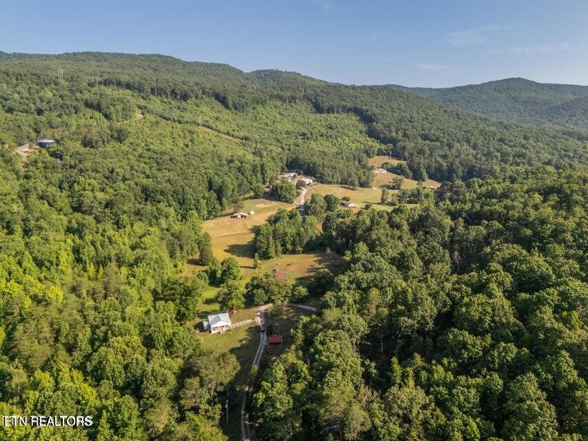 239 Miller Road Pikeville, TN 37367 - Photo 28 of 29 a view of a lush green field with mountains in the background