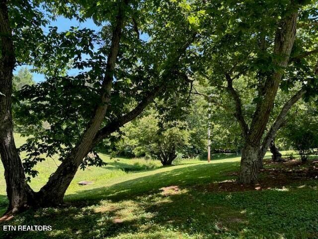 239 Miller Road Pikeville, TN 37367 - Photo 5 of 29 a view of a trees with a yard